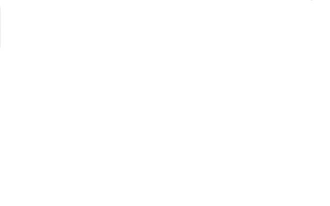 Building with Nature in de Stad